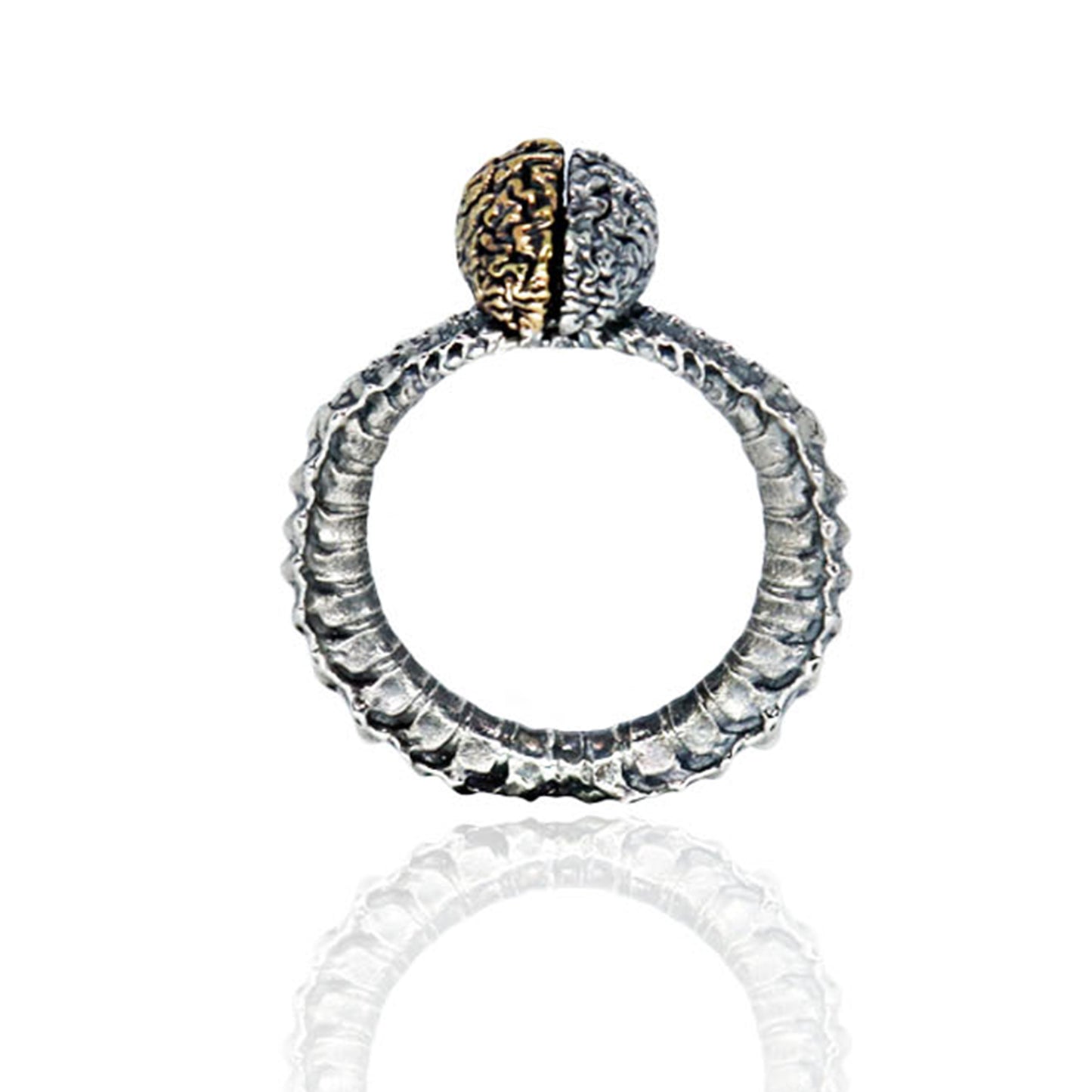 Metacortex Ring