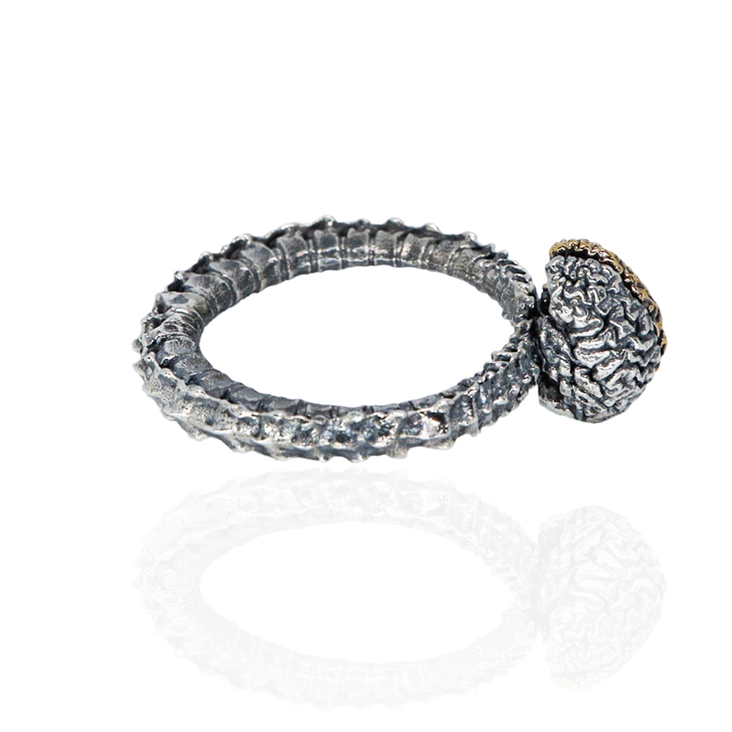 Metacortex Ring
