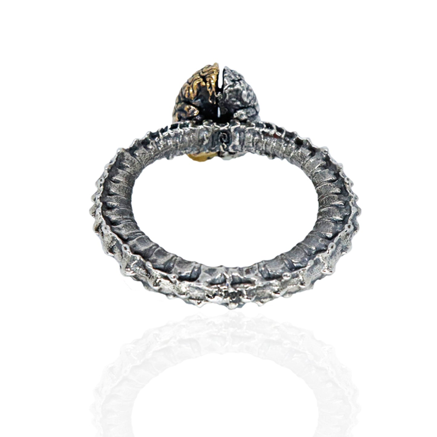 Metacortex Ring