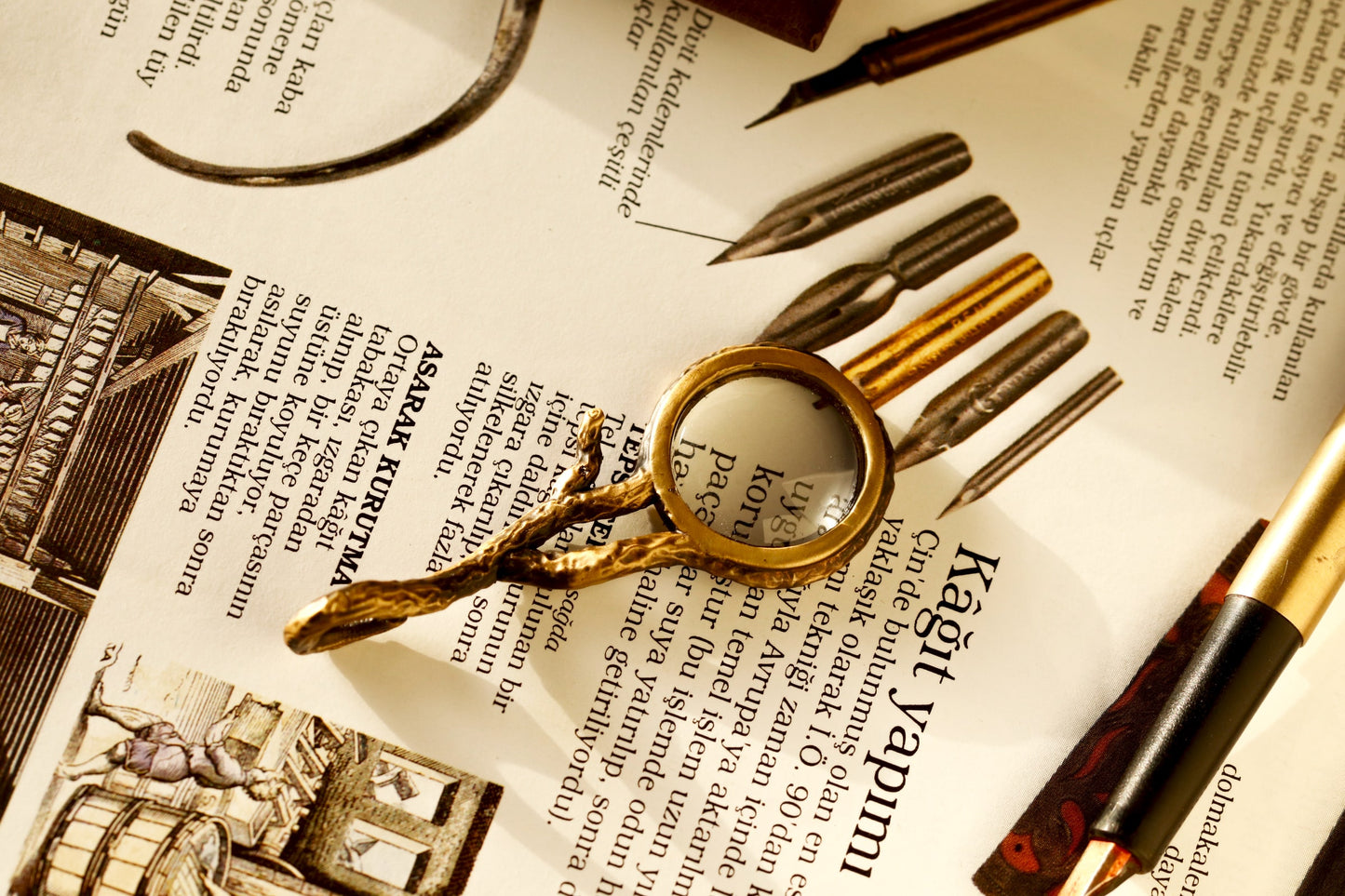 Tree Branch Magnifying Glass