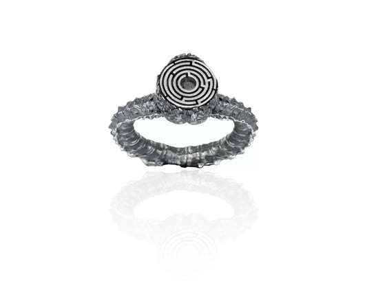 Metacortex Labyrinth Ring