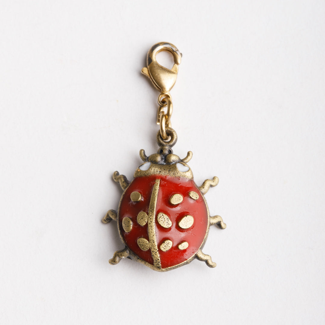 6'lı Charm