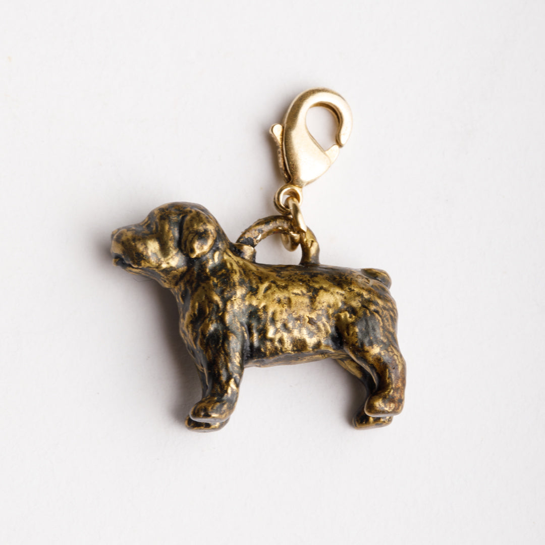 6'lı Charm