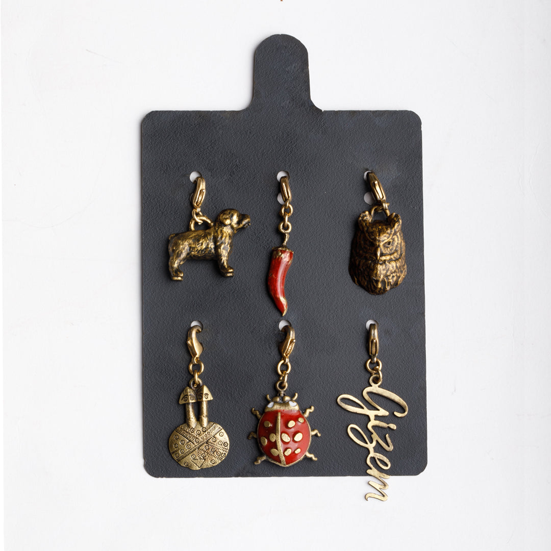 6'lı Charm